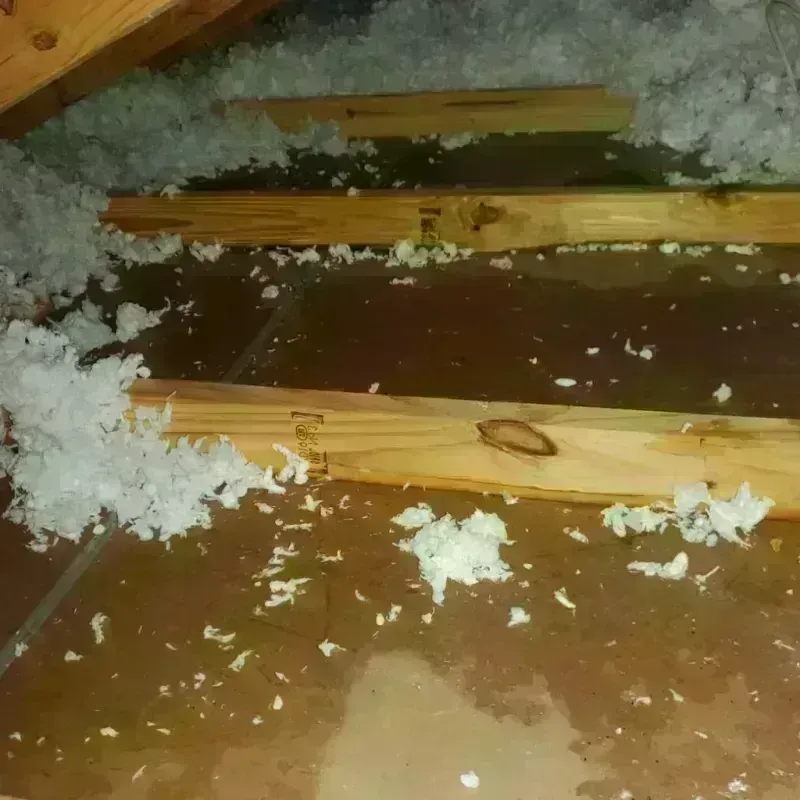 Attic Water Damage in Hortonville, WI